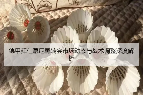 德甲拜仁慕尼黑转会市场动态与战术调整深度解析
